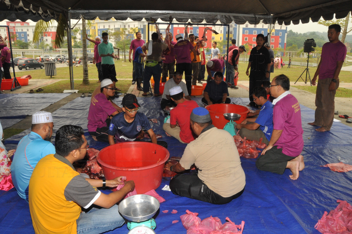 PRO15 150 KORBAN HAS 7010